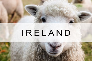 Ireland